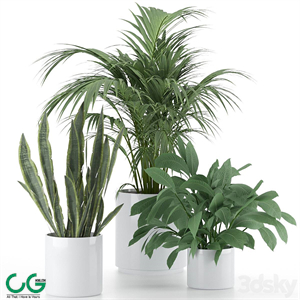 Plant-Set-001